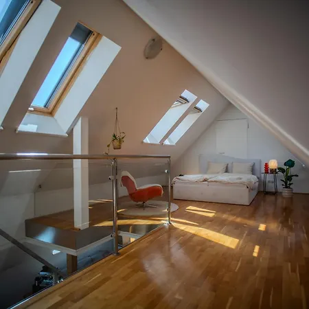 Attic & Terrace דירה