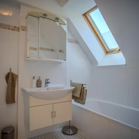 Attic & Terrace דירה גראץ